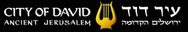 irdavid_logo
